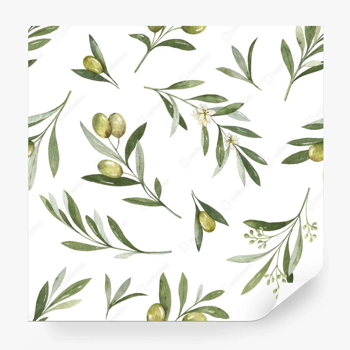 Papier peint motif d'olivier à l'aquarelle pour déco murale – Wallnifity®