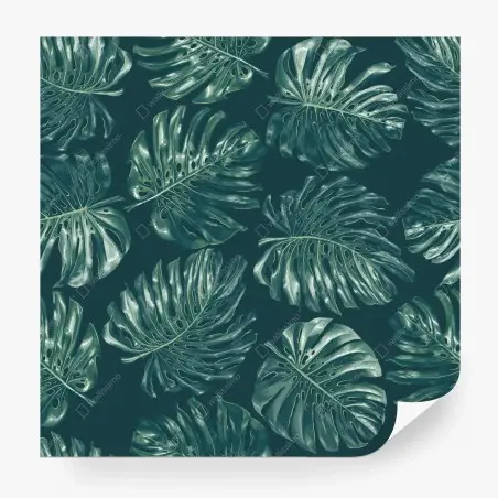 Papier peint motif feuilles de monstera tropicales – Wallnifity®
