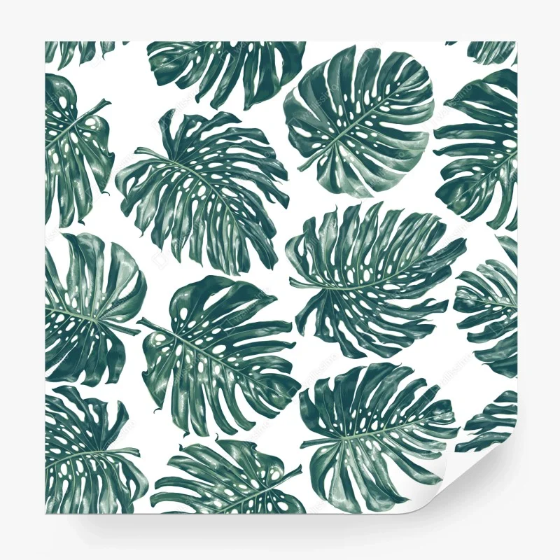 Papier peint feuilles de monstera motif tropical élégant – Wallnifity®