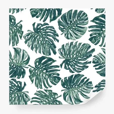 Papier peint feuilles de monstera motif tropical élégant – Wallnifity®