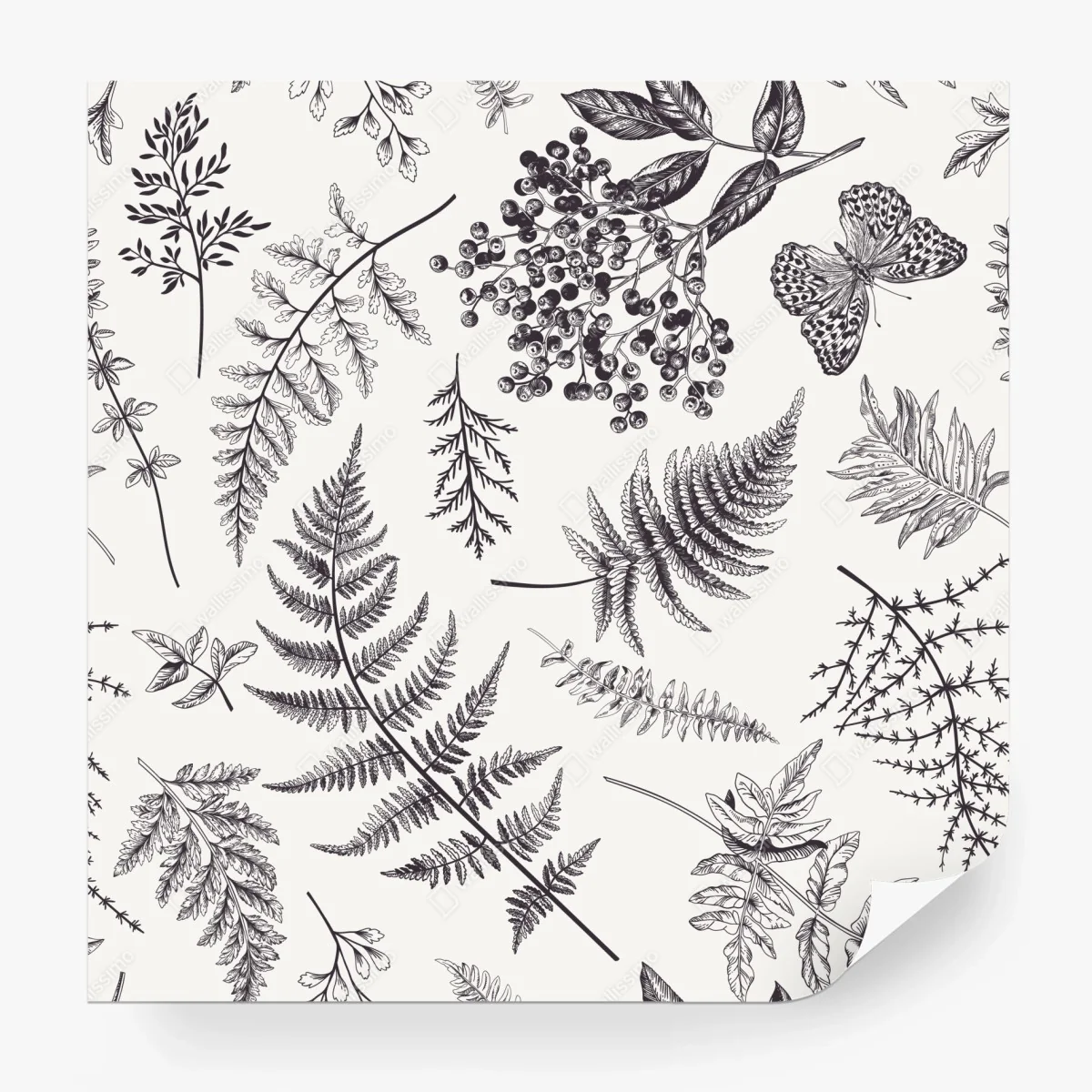 Papier peint motif botanique délicat en noir et blanc – Wallnifity® Papier peint motif botanique délicat en noir et blanc – Wallnifity®