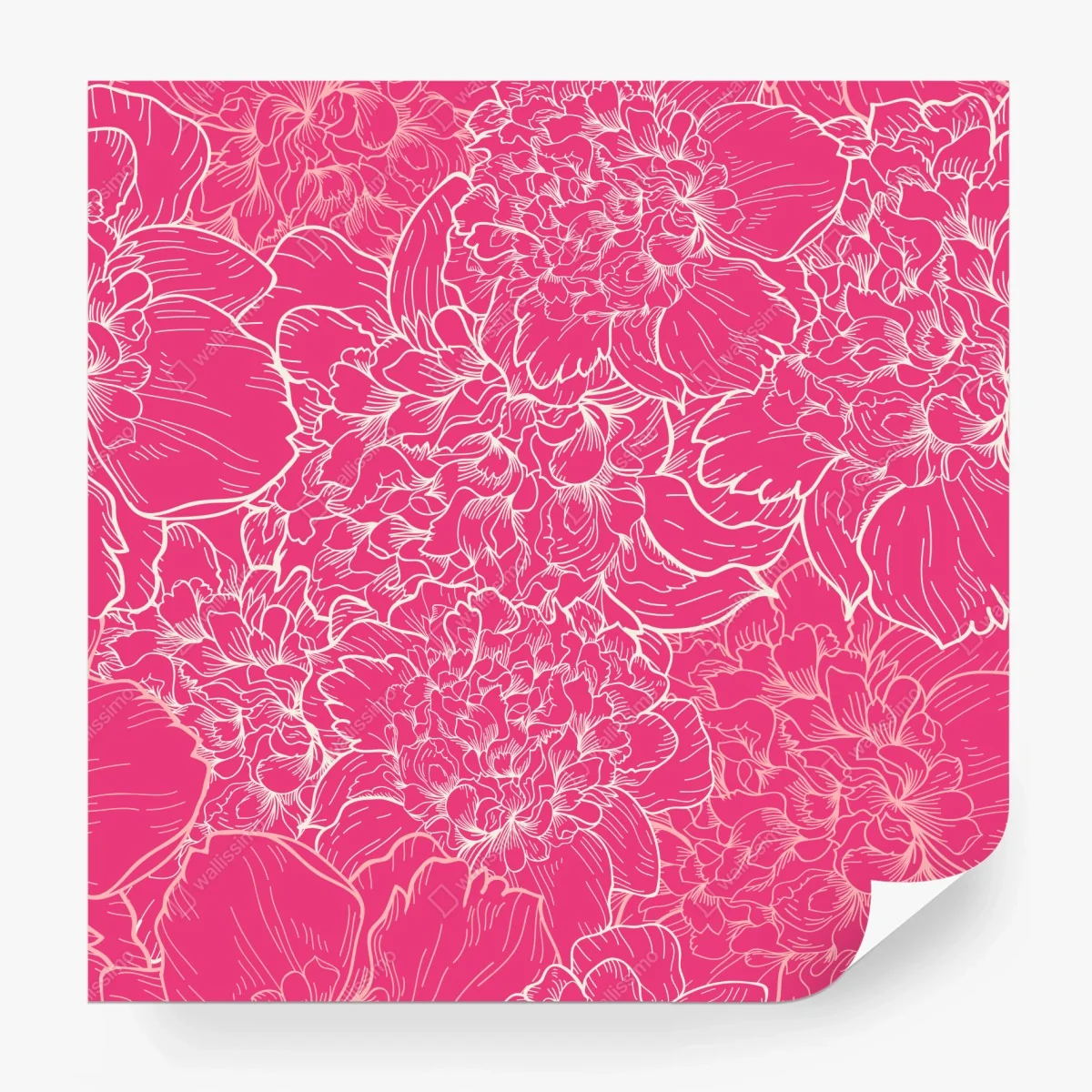 Papier peint motif floral de pivoines rose et blanc – Wallnifity®