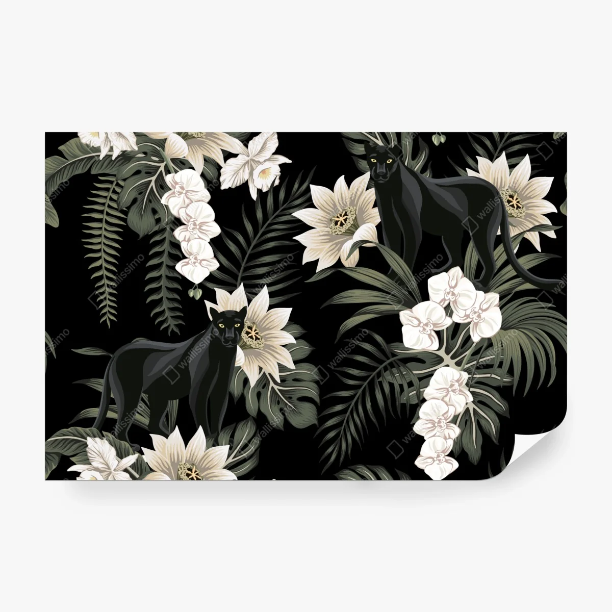 Papier peint panthères et orchidées sur fond noir – Wallnifity® Papier peint panthères et orchidées sur fond noir – Wallnifity®