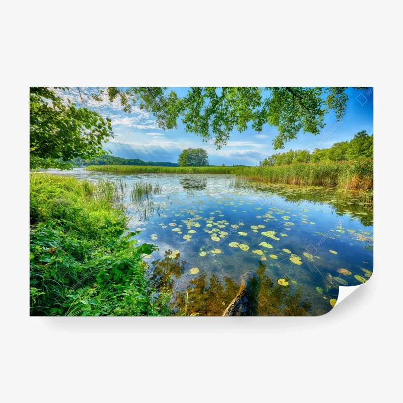 Papier peint paysage estival au bord du lac en Mazurie – Wallnifity® Papier peint paysage estival au bord du lac en Mazurie – Wallnifity®