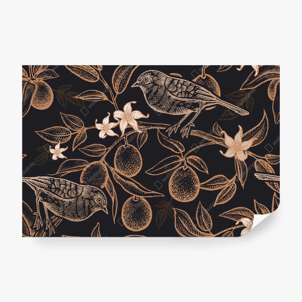 Papier peint motif botanique d'oiseaux et d'agrumes sur fond noir – Wallnifity®