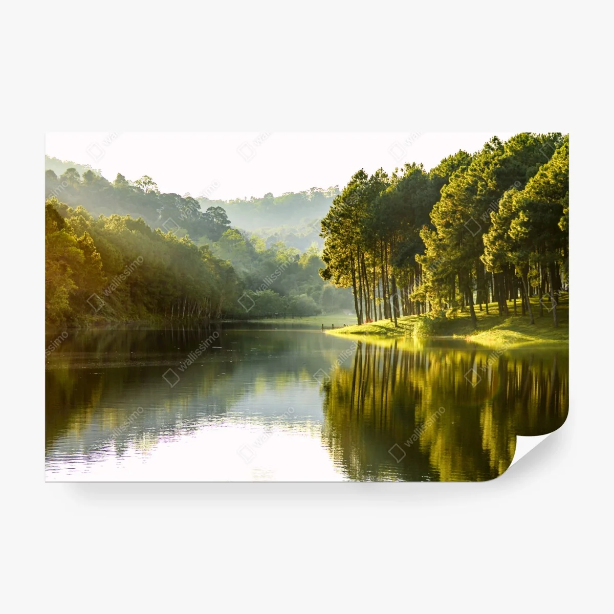 Papier peint reflet doré au bord du lac – Wallnifity®