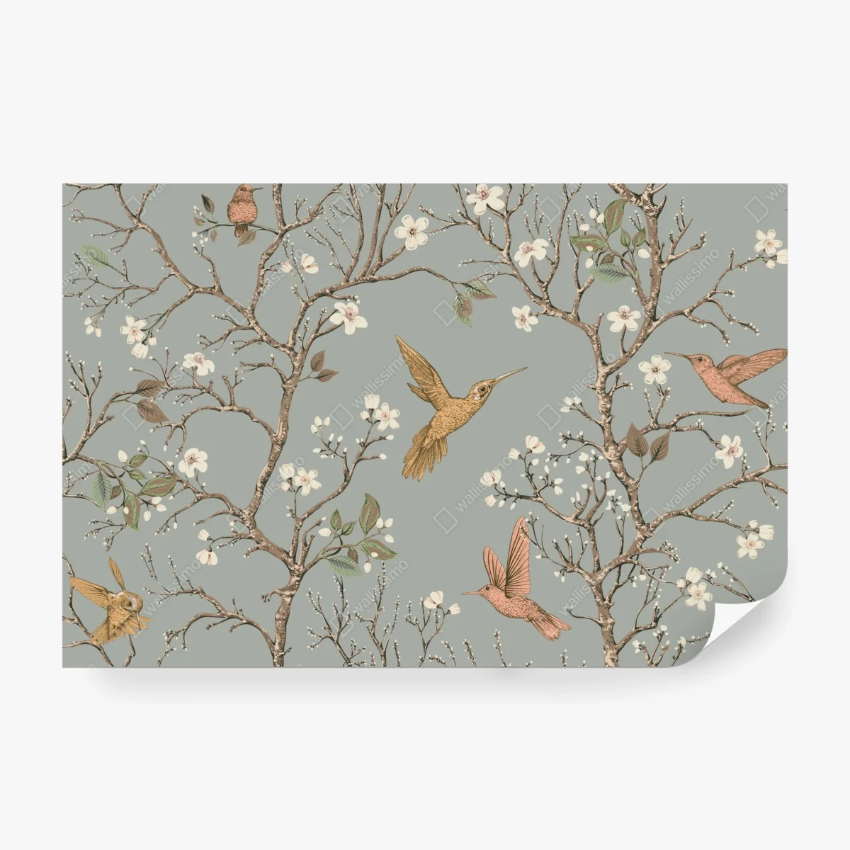 Papier peint colibris et fleurs sur fond vert doux – Wallnifity® Papier peint colibris et fleurs sur fond vert doux – Wallnifity®