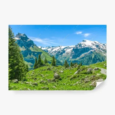 Papier peint panorama alpin d'Engelberg – Wallnifity®