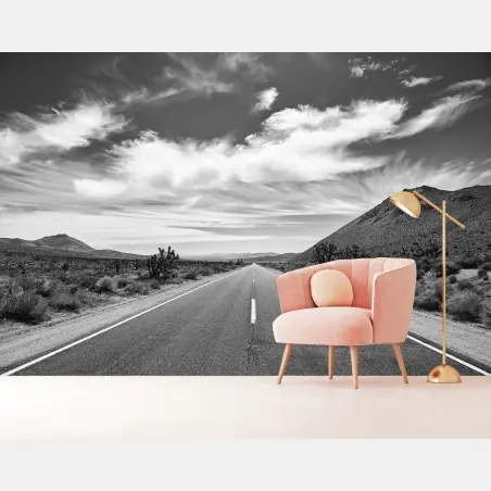Papier peint route désertique de Death Valley en noir et blanc – Wallnifity®