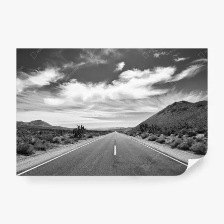 Papier peint route désertique de Death Valley en noir et blanc – Wallnifity®