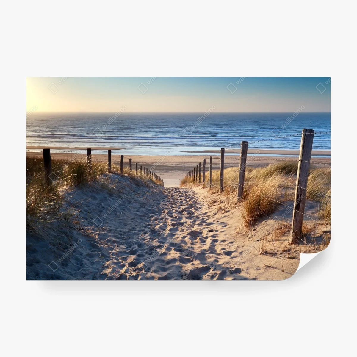 Papier peint chemin doré vers la Mer du Nord, North Holland – Wallnifity® Papier peint chemin doré vers la Mer du Nord, North Holland – Wallnifity®