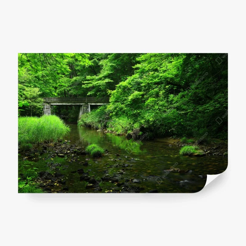 Papier peint paysage forestier verdoyant avec pont sur la rivière – Wallnifity® Papier peint paysage forestier verdoyant avec pont sur la rivière – Wallnifity®