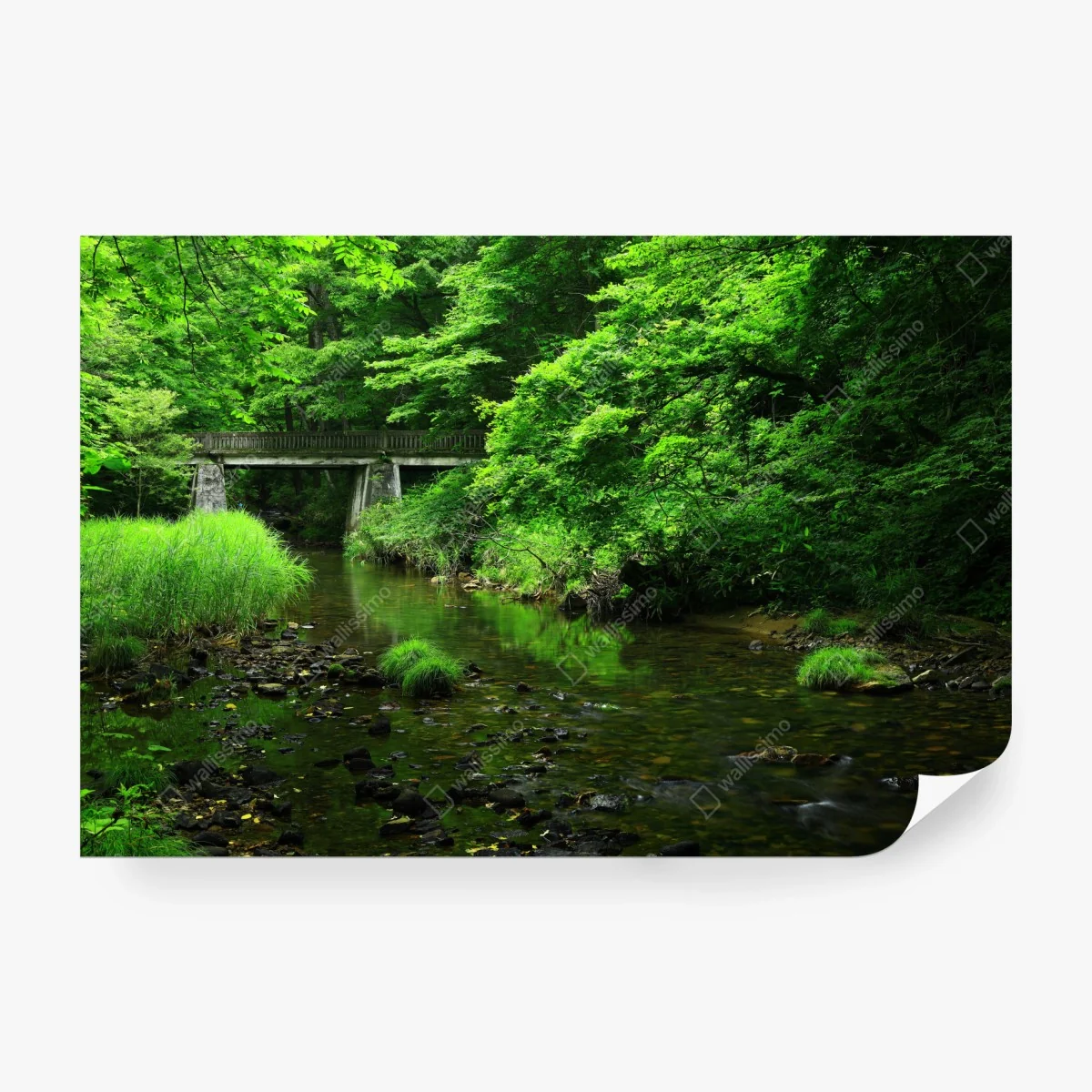 Papier peint paysage forestier verdoyant avec pont sur la rivière – Wallnifity® Papier peint paysage forestier verdoyant avec pont sur la rivière – Wallnifity®