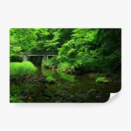 Papier peint paysage forestier verdoyant avec pont sur la rivière – Wallnifity®