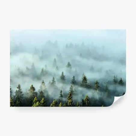 Papier peint brume matinale sur la forêt de sapins – Wallnifity®