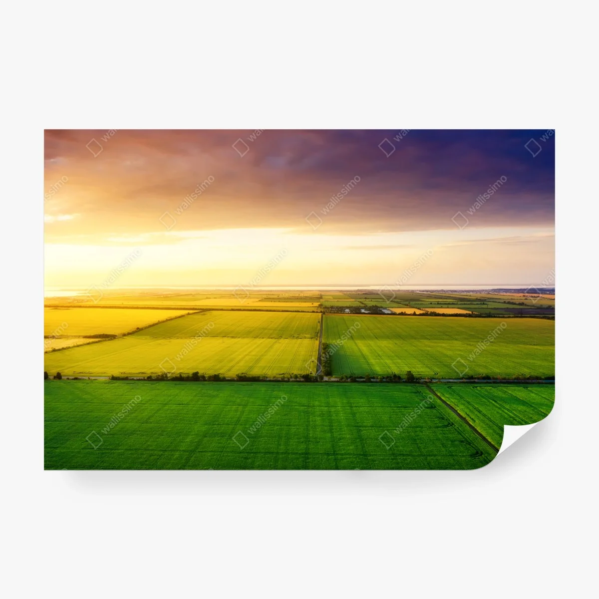 Papier peint panorama agricole au coucher du soleil – Wallnifity® Papier peint panorama agricole au coucher du soleil – Wallnifity®