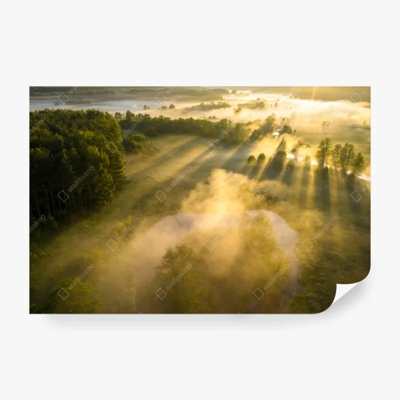 Papier peint rayons dorés sur prairie brumeuse – Wallnifity® Papier peint rayons dorés sur prairie brumeuse – Wallnifity®
