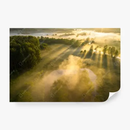 Papier peint rayons dorés sur prairie brumeuse – Wallnifity®