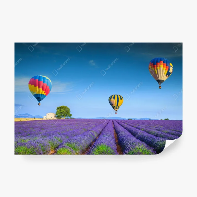 Papier peint champ de lavande à Valensole sous montgolfières – Wallnifity®