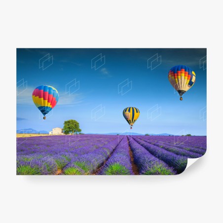 Papier peint champ de lavande à Valensole sous montgolfières – Wallnifity®