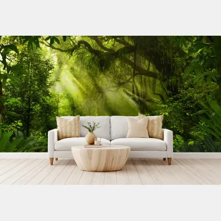 Papier peint chemin en forêt tropicale baigné de lumière – Wallnifity®