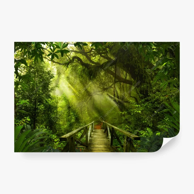 Papier peint chemin en forêt tropicale baigné de lumière – Wallnifity® Papier peint chemin en forêt tropicale baigné de lumière – Wallnifity®