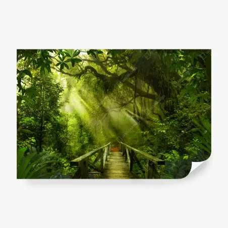 Papier peint chemin en forêt tropicale baigné de lumière – Wallnifity®