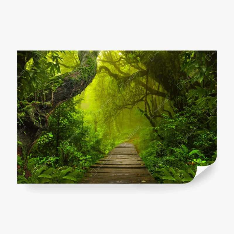 Papier peint sentier brumeux au cœur de la forêt – Wallnifity® Papier peint sentier brumeux au cœur de la forêt – Wallnifity®