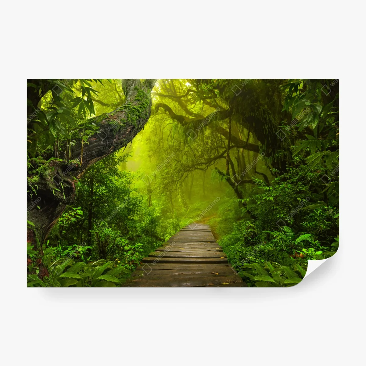 Papier peint sentier brumeux au cœur de la forêt – Wallnifity® Papier peint sentier brumeux au cœur de la forêt – Wallnifity®