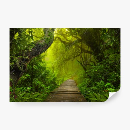 Papier peint sentier brumeux au cœur de la forêt – Wallnifity®
