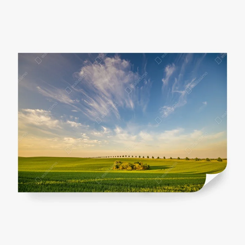 Papier peint alignement d'arbres sur champ printanier – Wallnifity® Papier peint alignement d'arbres sur champ printanier – Wallnifity®