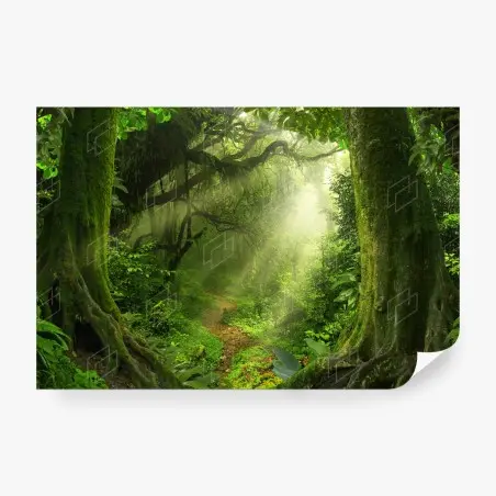 Papier peint sentier mystique au cœur de la forêt – Wallnifity®