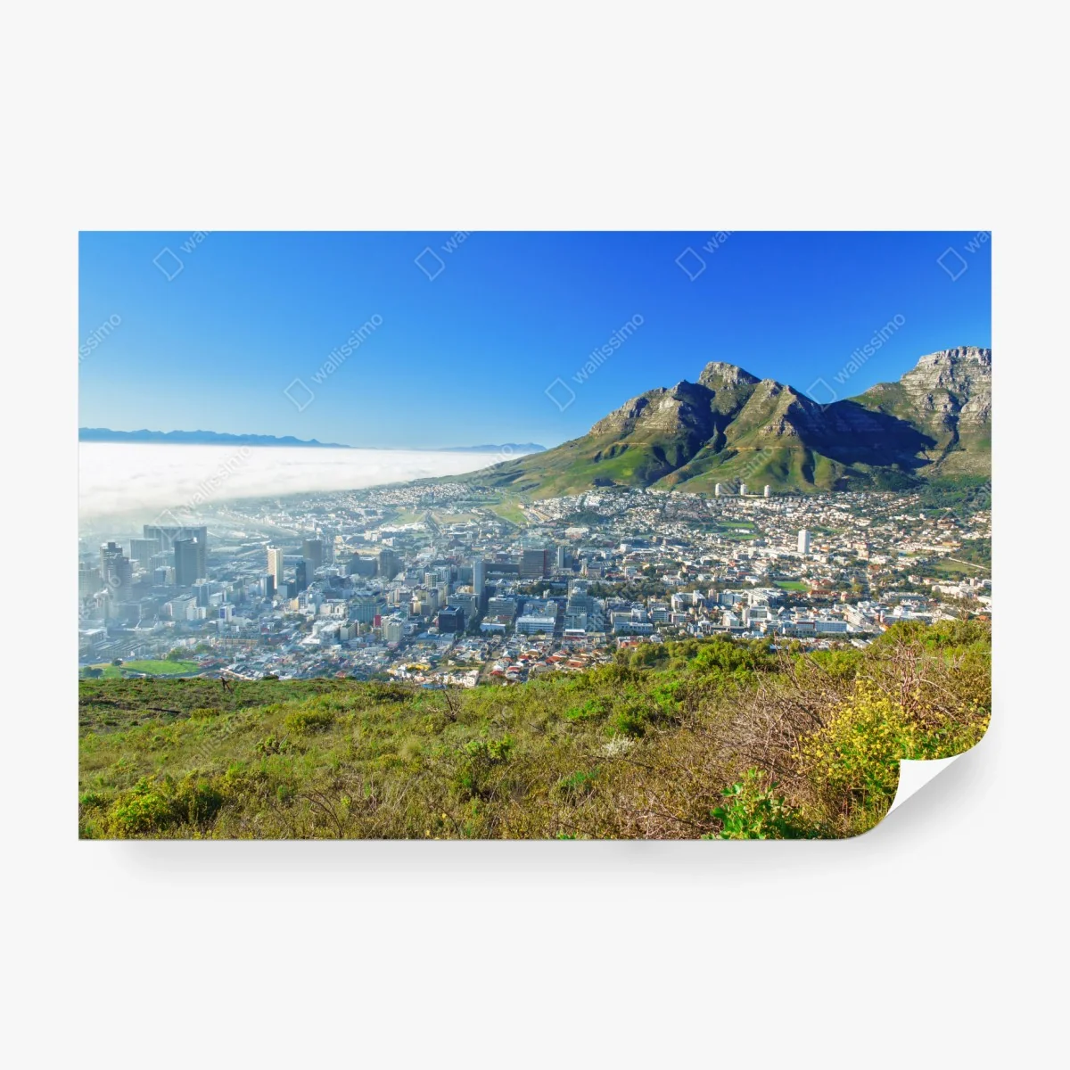 Papier peint panorama de Cape Town entre ville et montagne – Wallnifity® Papier peint panorama de Cape Town entre ville et montagne – Wallnifity®