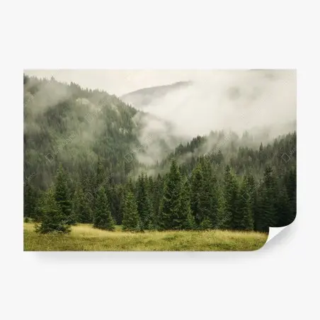 Papier peint brume matinale sur la forêt de sapins – Wallnifity®