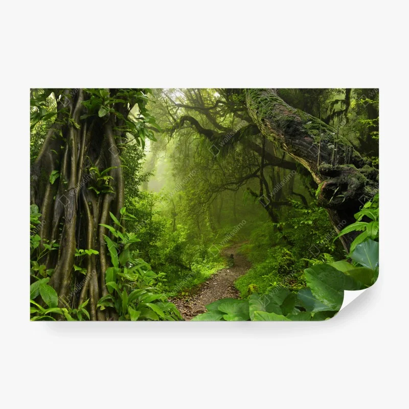 Papier peint chemin secret dans la forêt tropicale – Wallnifity® Papier peint chemin secret dans la forêt tropicale – Wallnifity®