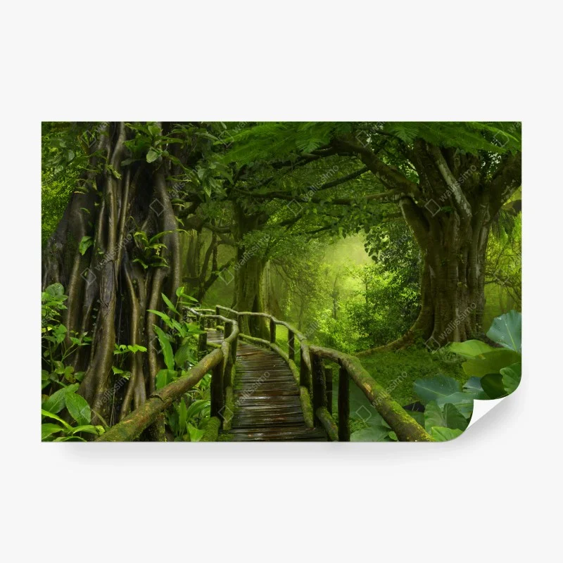 Papier peint promenade dans la jungle tropicale – Wallnifity® Papier peint promenade dans la jungle tropicale – Wallnifity®