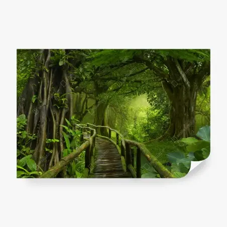 Papier peint promenade dans la jungle tropicale – Wallnifity®