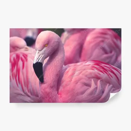 Papier peint élégance du flamant rose – Wallnifity®