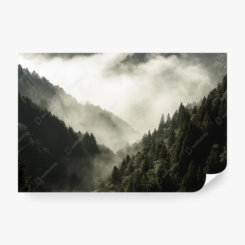 Papier peint brume sur la vallée boisée – Wallnifity® Papier peint brume sur la vallée boisée – Wallnifity®