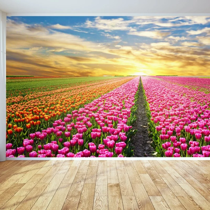 Papier peint lever du soleil sur les champs de tulipes aux Pays-Bas – Wallnifity®
