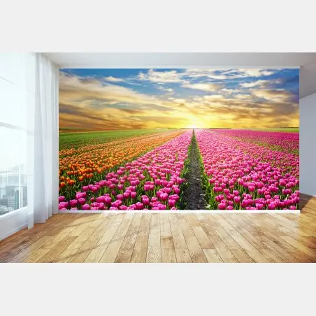 Papier peint lever du soleil sur les champs de tulipes aux Pays-Bas – Wallnifity®