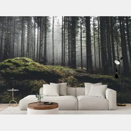 Papier peint forêt brumeuse aux rochers moussus – Wallnifity®