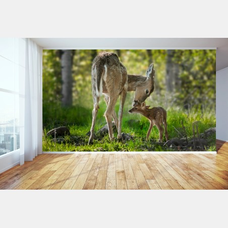 Papier peint tendresse d'une biche et de son faon en forêt – Wallnifity®