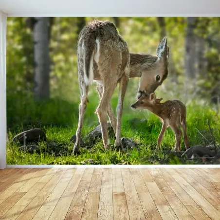 Papier peint tendresse d'une biche et de son faon en forêt – Wallnifity®