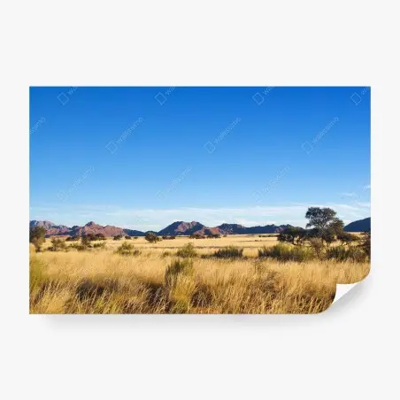 Papier peint plaine dorée sous ciel azur – Wallnifity®