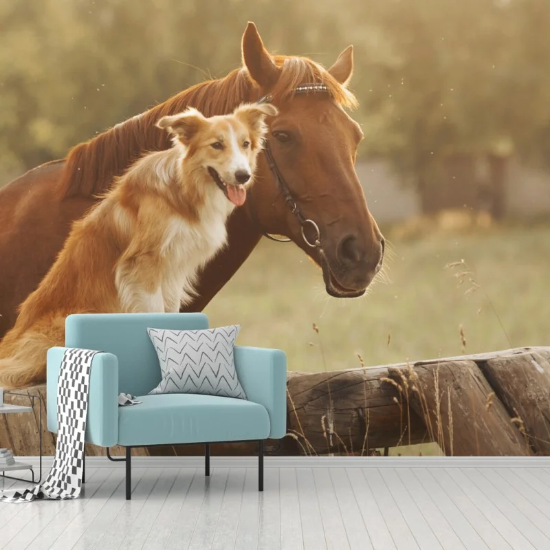 Animaux domestiques – Wallnifity®