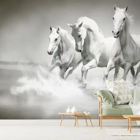Papier peint trois chevaux blancs en liberté – Wallnifity®
