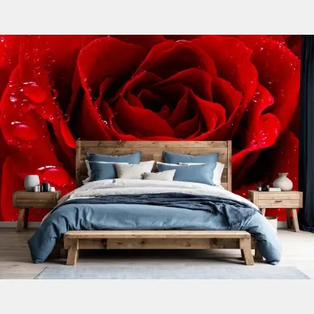 Papier peint rose rouge en gouttes de rosée – Wallnifity®