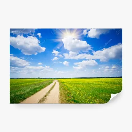 Papier peint horizon de colza sous un ciel lumineux – Wallnifity®