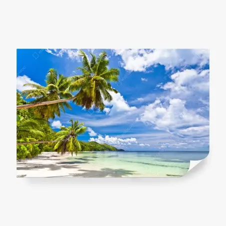 Papier peint paysage de plage tropicale – Wallnifity®